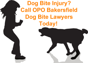 bakersfield dog bite attorney